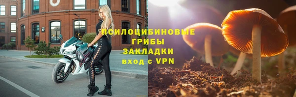 твердый Новозыбков