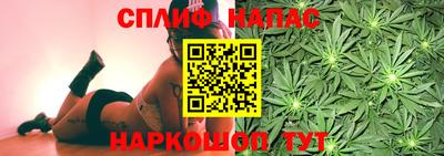 ешки Гагарин