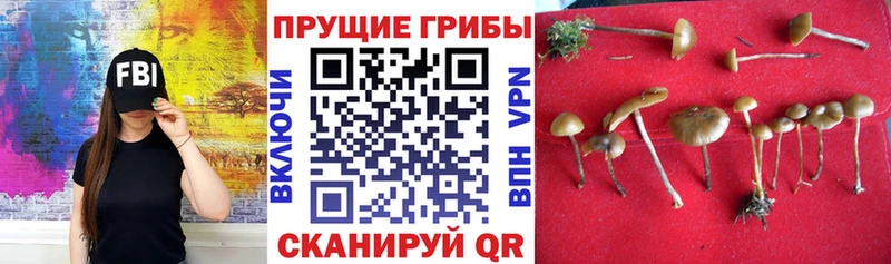 Псилоцибиновые грибы мухоморы  Тара 