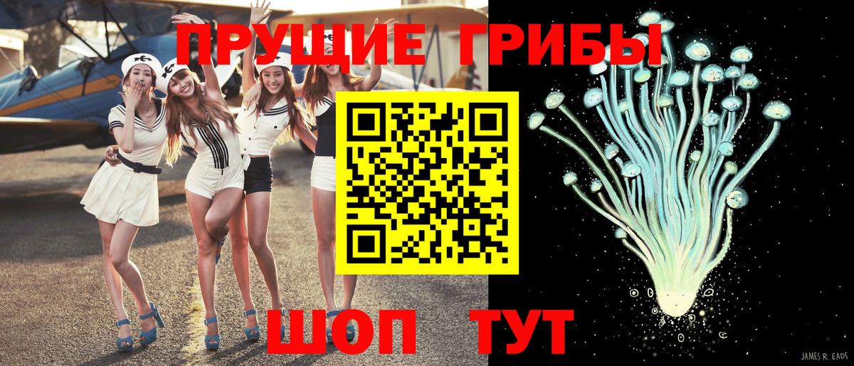 Псилоцибиновые грибы мухоморы  Псилоцибиновые грибы Psilocybe  Тара 