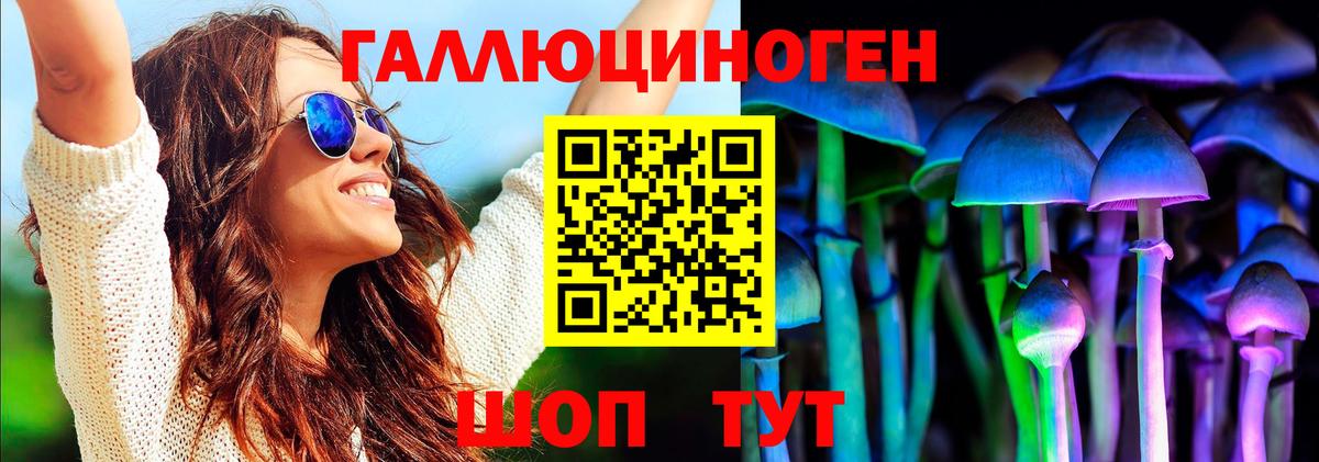 Тара  Галлюциногенные грибы MAGIC MUSHROOMS  Вход с VPN 