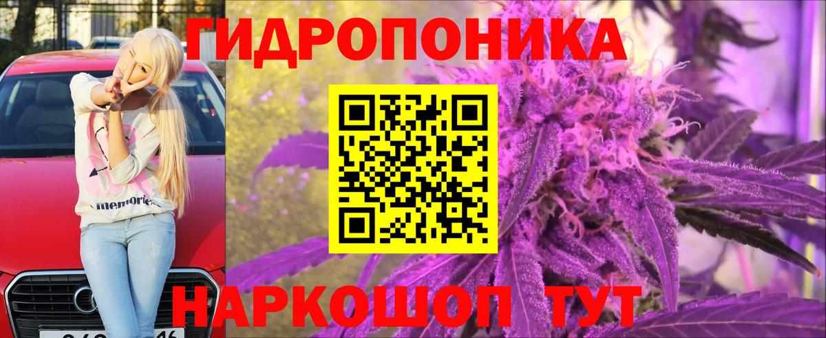 Конопля White Widow Тара